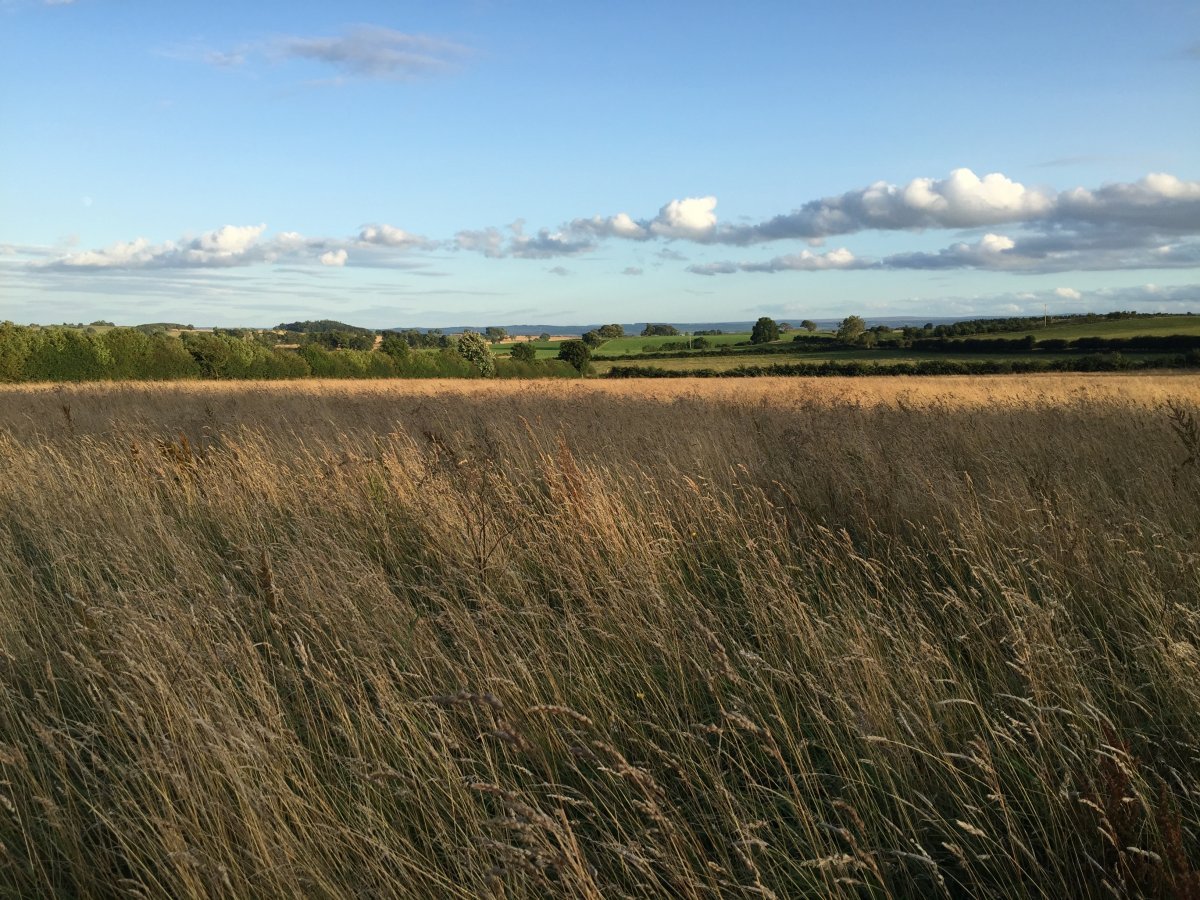 Rose's Bower | Luxury holiday cottages, Northumberland