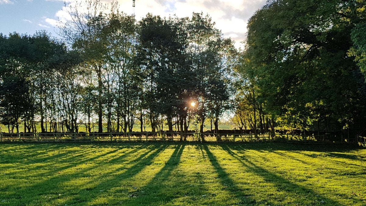 Rose's Bower | Luxury holiday cottages, Northumberland