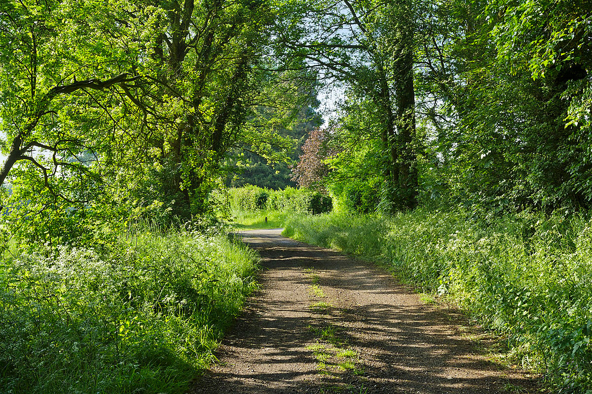 The Old Rectory | Family Holiday House, Suffolk